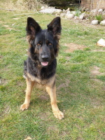 Cheyenne 30.3.22 Cheyenne 30.3.22