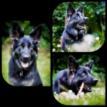 Josie 11.7.2021 Josie 11.7.2021