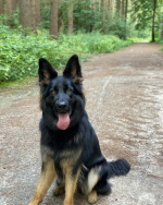 osie 15.8.21 osie 15.8.21