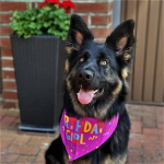 19.6.21 erster Geburtstag 19.6.21 erster Geburtstag