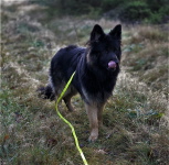 Itsch-Ben 21. 11. 2021 Itsch-Ben 21. 11. 2021