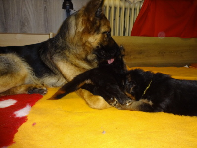 mit der großen Schwester schmusen mit der großen Schwester schmusen