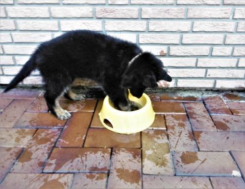 Das Wasser muss da raus Das Wasser muss da raus